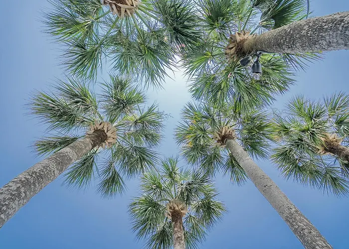Royal Palms Motel