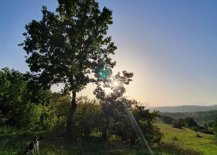 Vinea del Selvatico cascina agricola