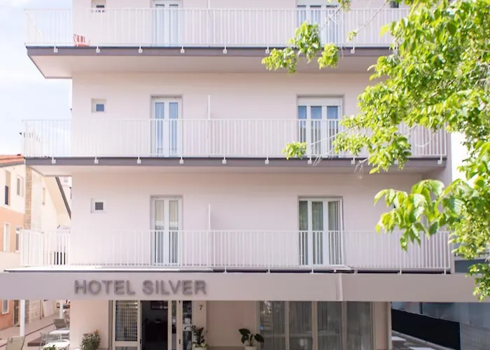 Hotel Silver