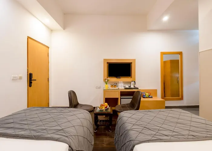 Hotel Tashree Near T3 - Free Airport Drop
