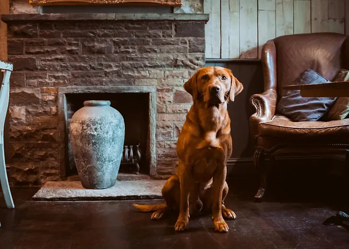 Bulls Head - Holymoorside