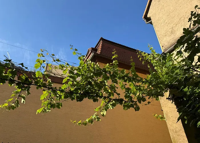Hotel Neuhauser Volkach