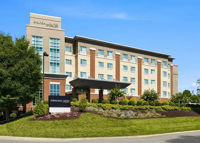 Springhill Suites By Marriott Roanoke