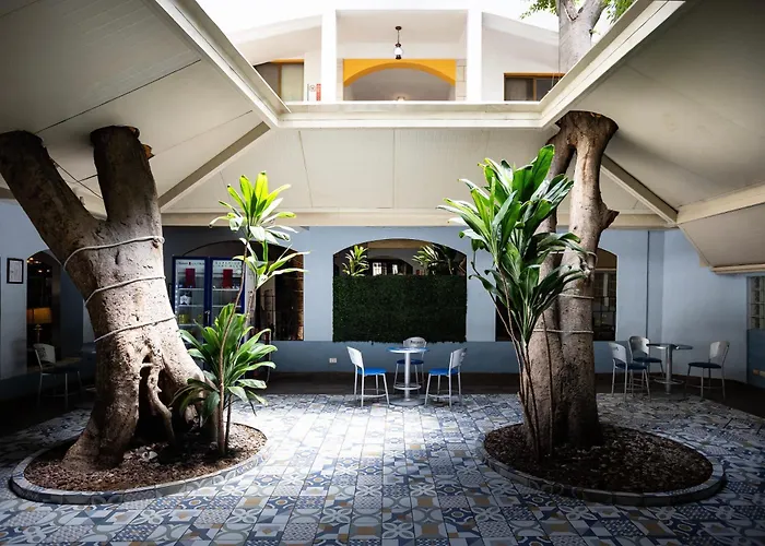 Suites Kino