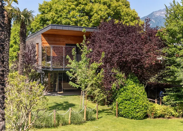 Treelodgy, The Tree House