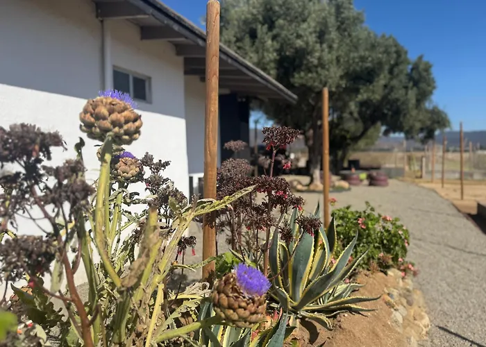 Ranchito Buhos