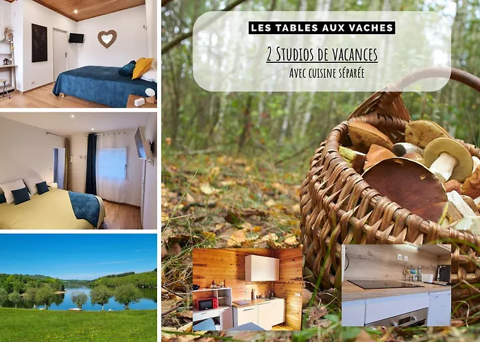 La Salvetat - Studios équipés - Les Tables Aux Vaches