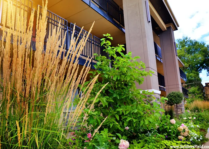 Centerstone Plaza Hotel Soldiers Field - Mayo Clinic Area