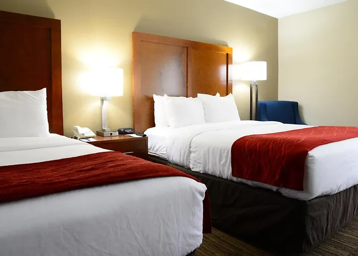 Comfort Inn University Durham - Chapel Hill