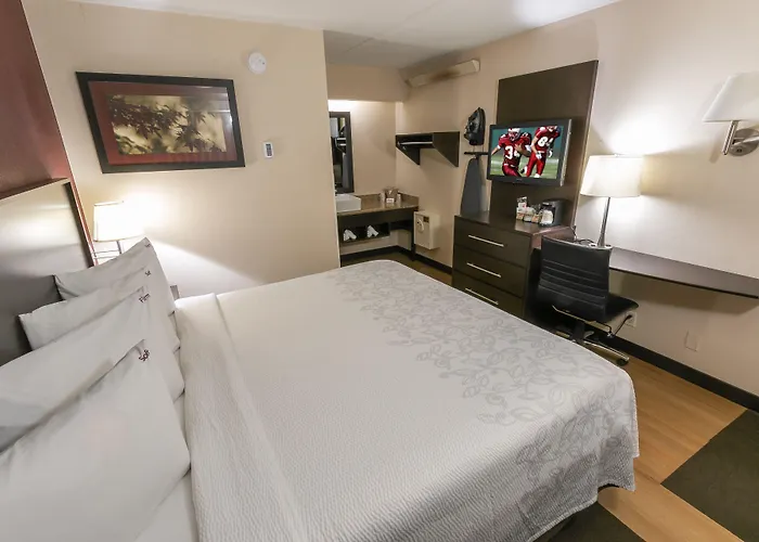 Red Roof Inn Plus+ -Ohio State University Osu