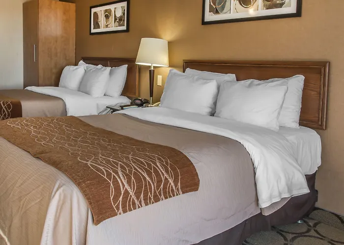 Comfort Inn