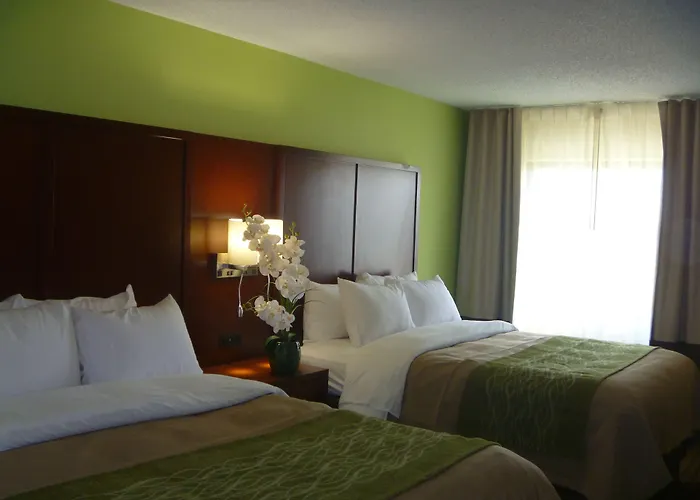 Comfort Inn Fort Mill Amusement Park At Carowinds Blvd