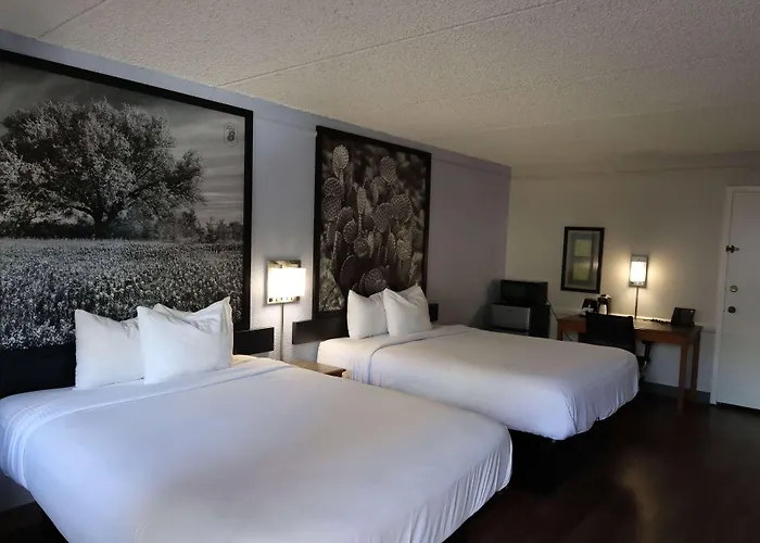 Super 8 By Wyndham Austin South I-35