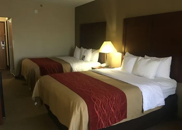 Comfort Inn Lexington I-75