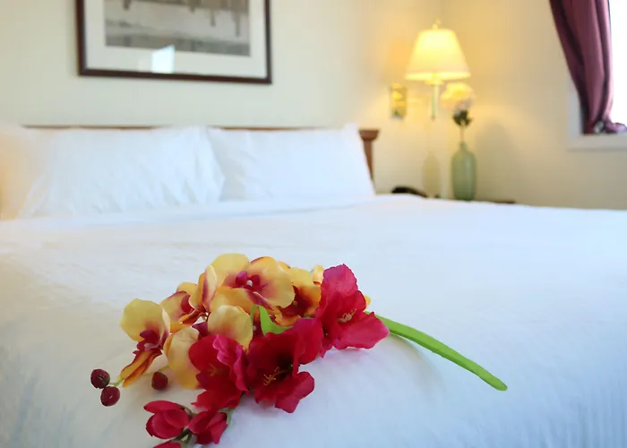 Nomad Hotel & Suites