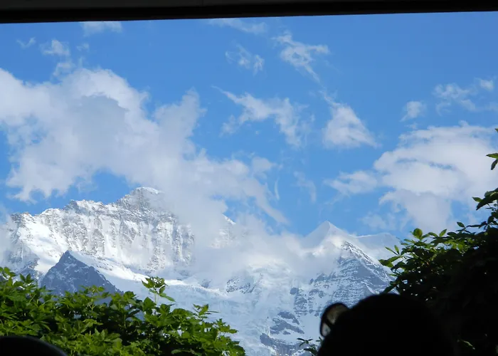 Historic Hotel Falken Wengen