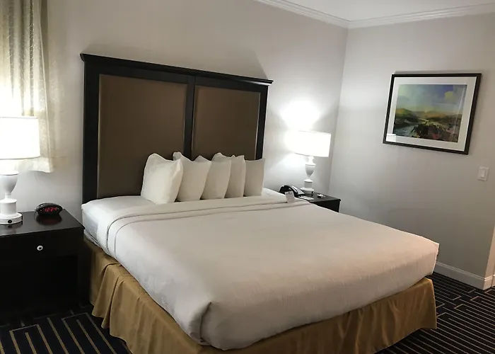 Best Western Plus Palm Court Hotel