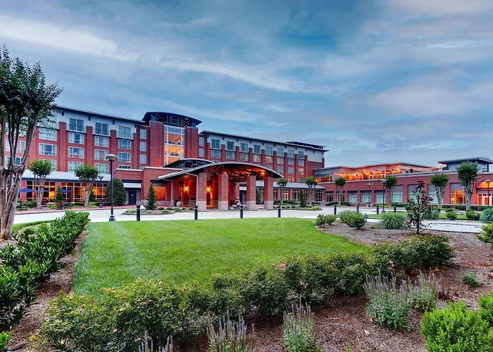 n , Curio Collection By Hilton