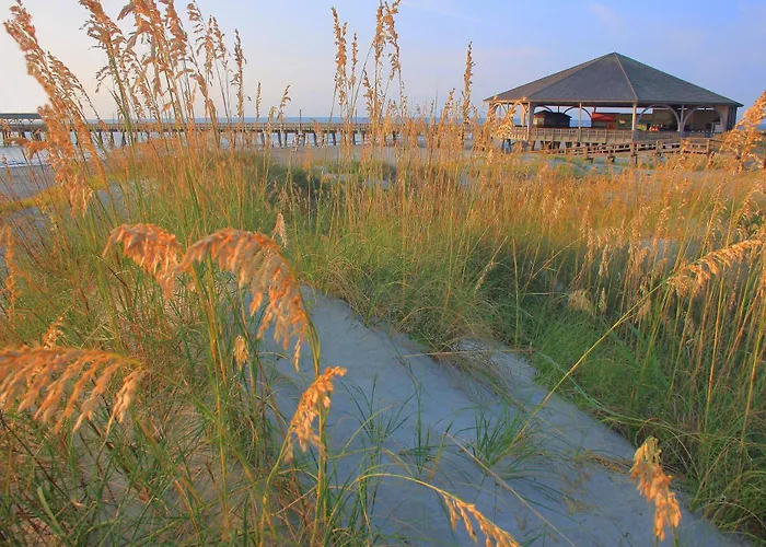 Tybee
