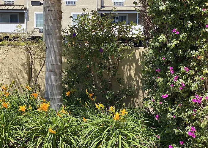 Holiday Inn Express Redwood City Central By Ihg