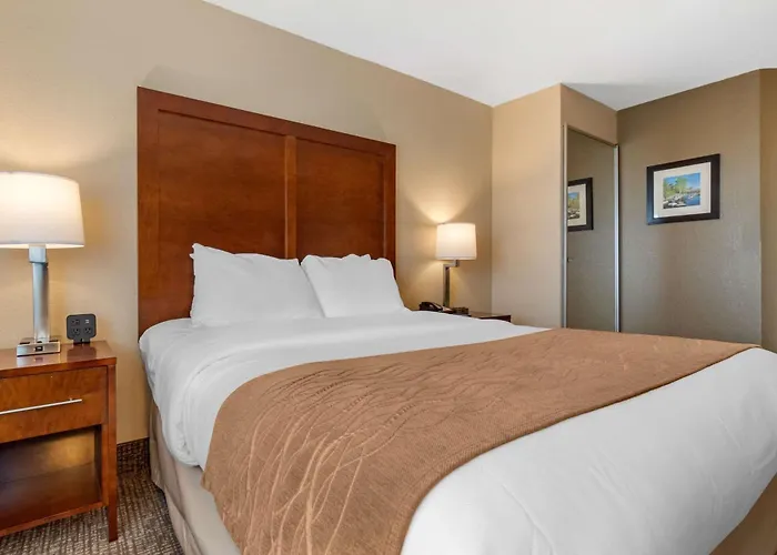 Comfort Inn & Suites South Hill I-85