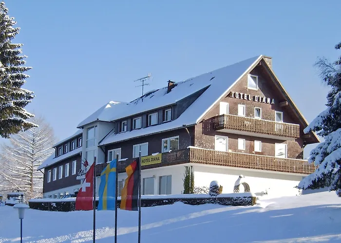 Hotel Diana Feldberg 