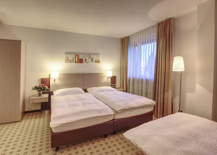 Hotel Alfa Birsfelden