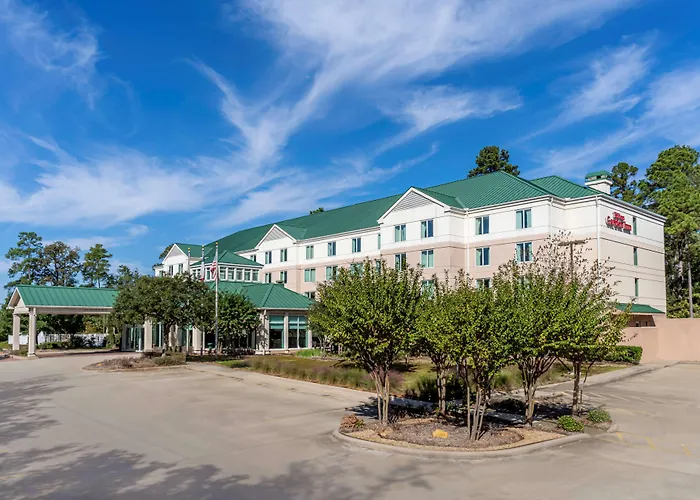 Hilton Garden Inn Houston/The Woodlands