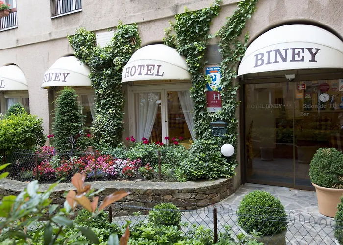 Hotel Biney