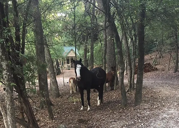 Country Woods Inn Glen Rose