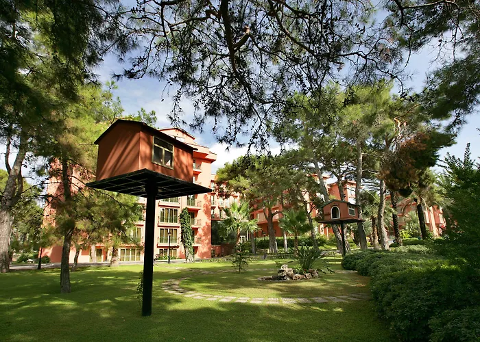 The Norm Oriental Kemer
