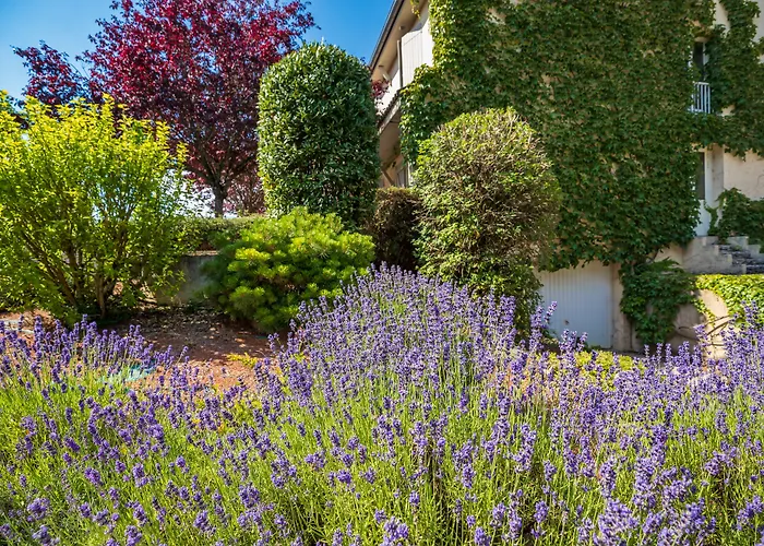Hotel Parc Adelie - Logis Hotels Montagny-lès-Beaune