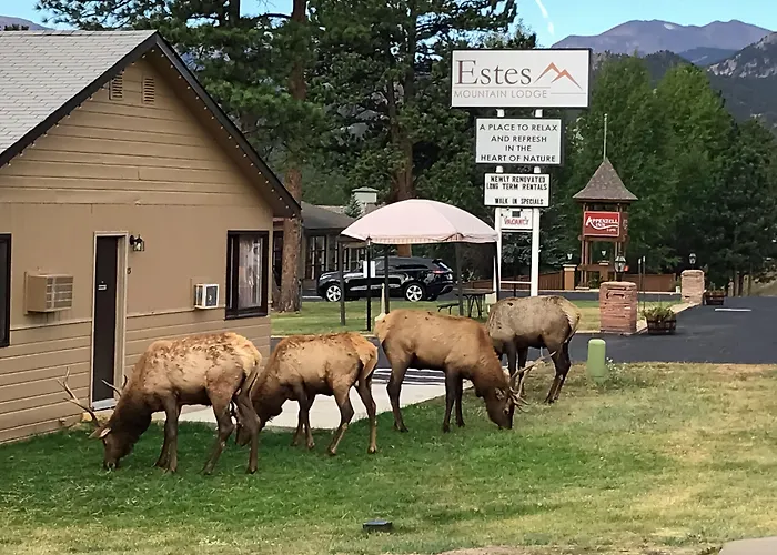 Estes Mountain Inn