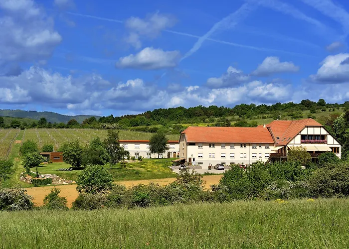 Hôtel du Bollenberg Cit'Hotel - Restaurant Côté Plaine - Spa de la Colline