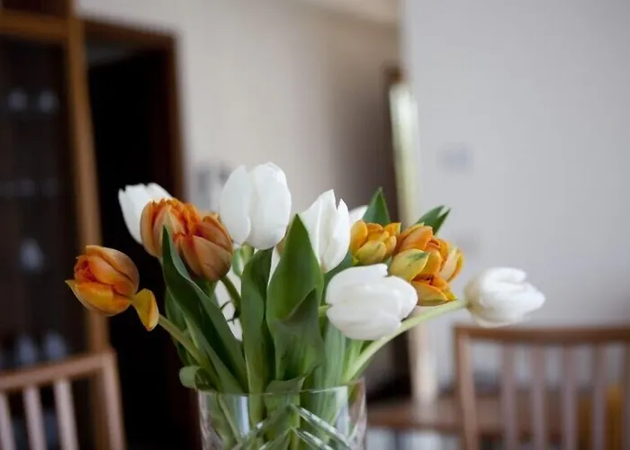 Residence Hotel Health House Desenzano del Garda