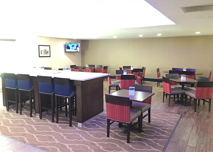 Comfort Inn & Suites Near Six Flags & Medical Center