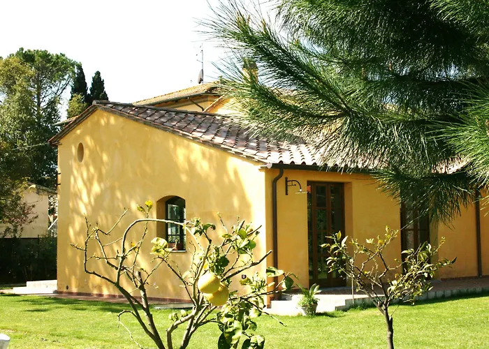 Pisa Holidays Arena Metato