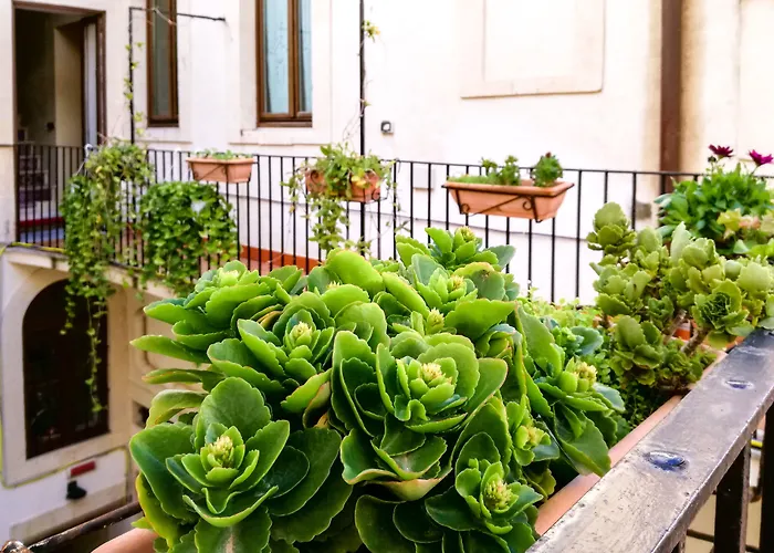 Hotel Casa Mia