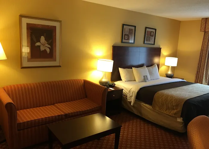 Comfort Inn Naugatuck-Shelton, Ct