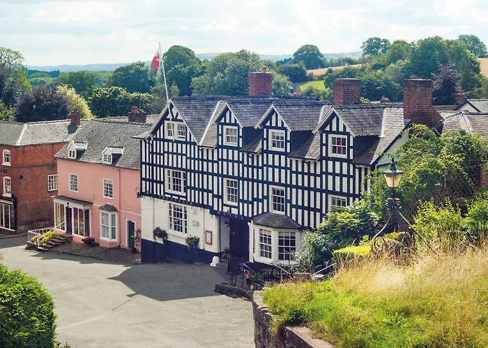 The Dragon Hotel