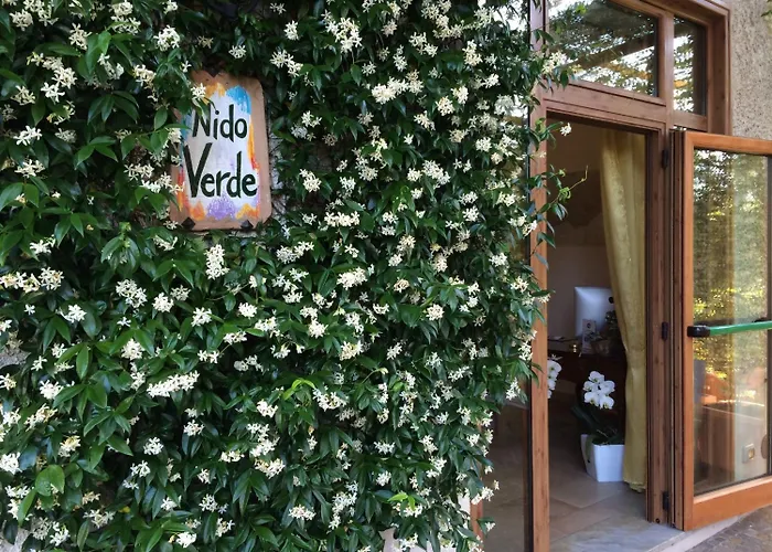 Nido Verde