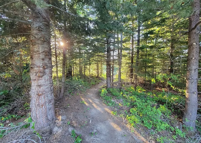 Cooper Spur Mountain Resort