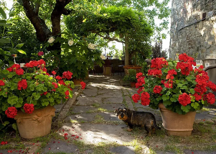 Palazzo Malaspina B&B San Donato in Poggio