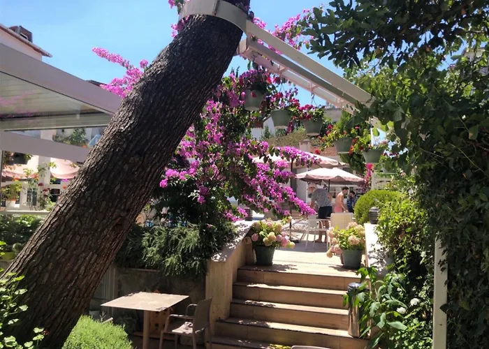 Ascot Hotel Bueyuekada