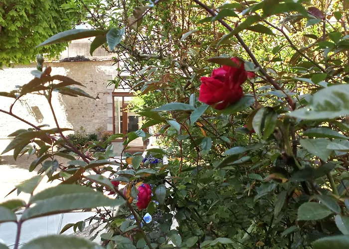 Grand Monarque