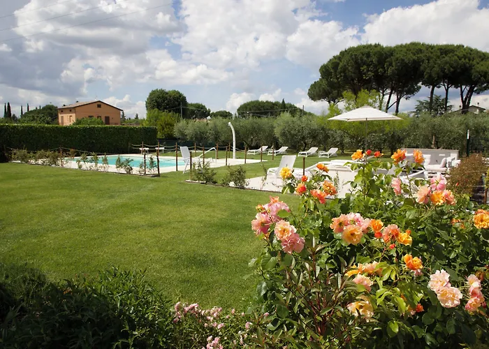 Rosa di Assisi