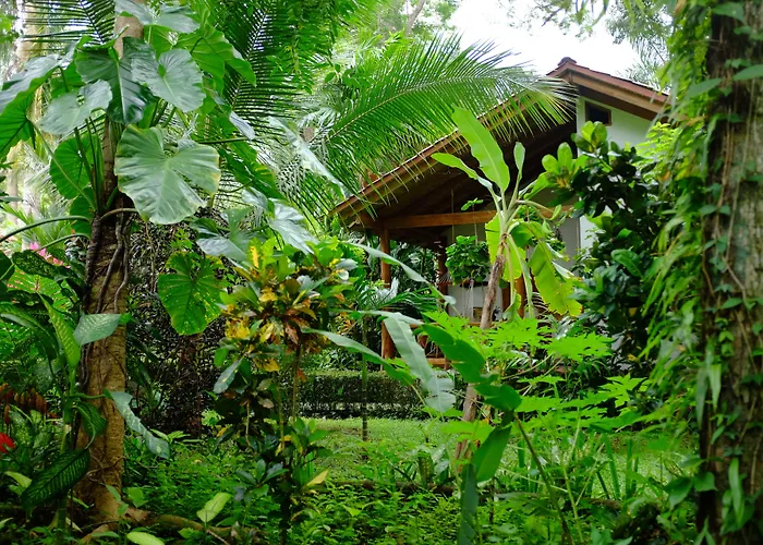 Hotel La Palapa Eco Lodge Resort Portalón