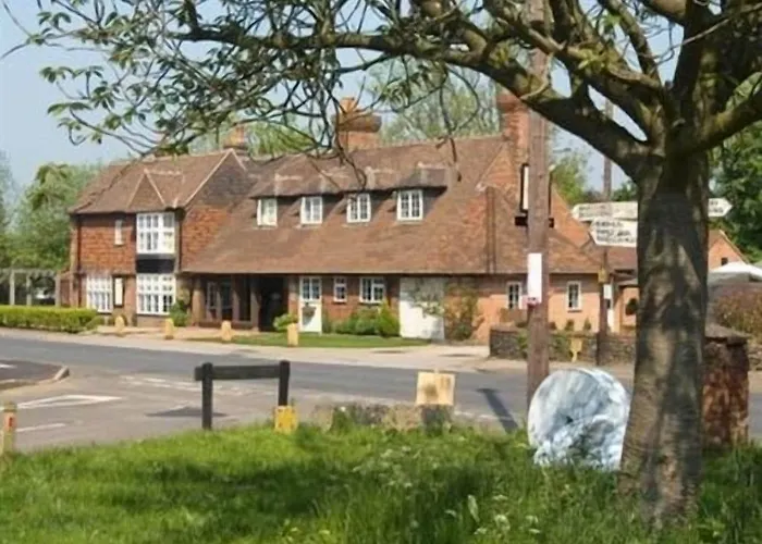 The Percy Arms