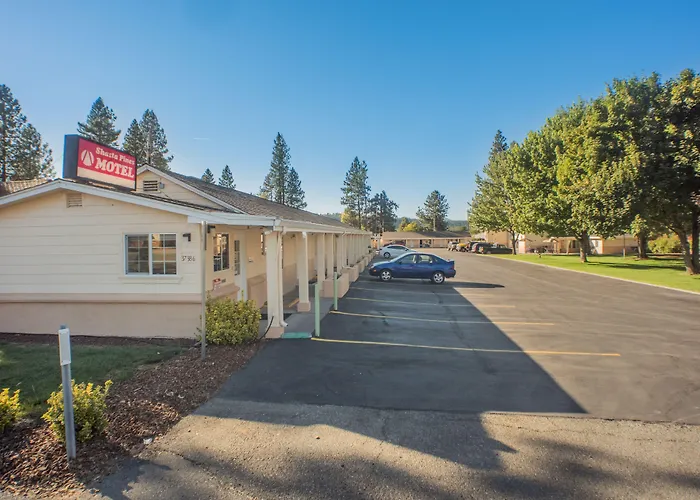 Shasta Pines & Suites