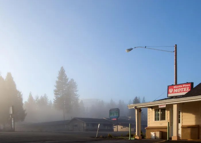 Shasta Pines & Suites